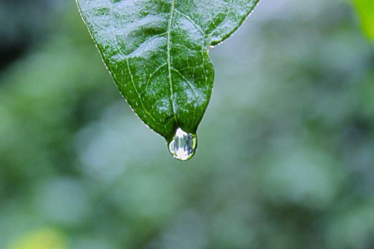 Consequatur velit corporis provident ipsa quia